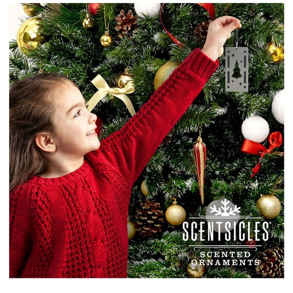NEW Scentsicles Scented Ornament Holders, Scented Ornament Sticks Holder - Picture 4 of 7
